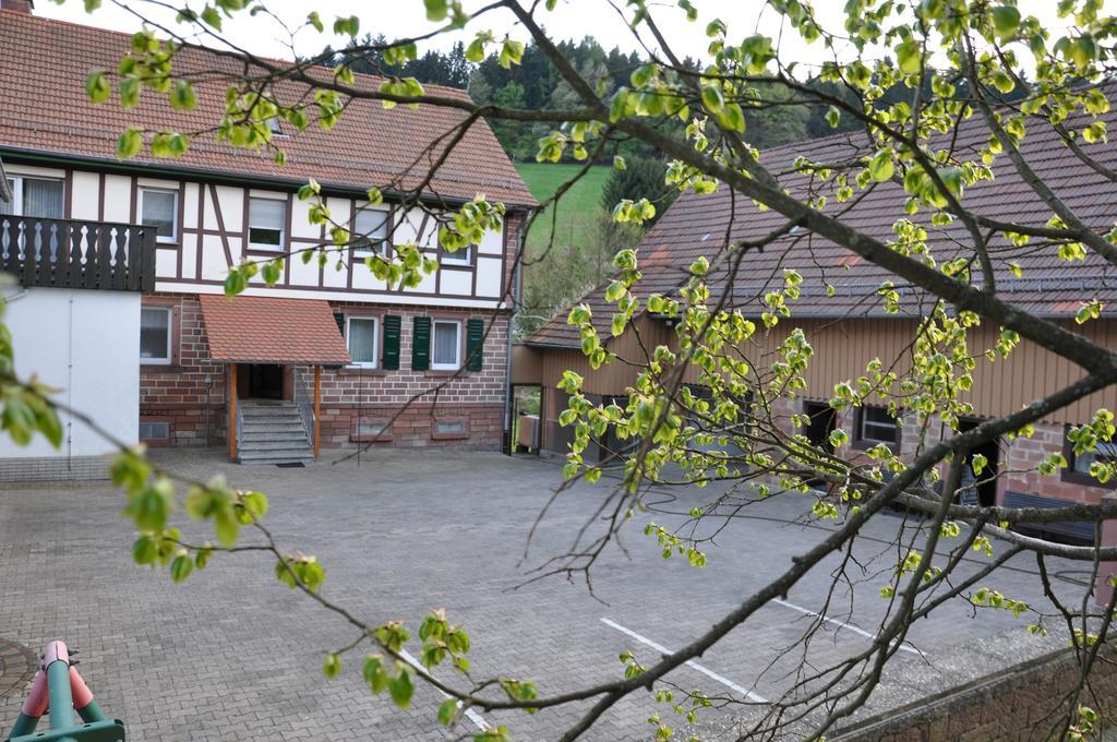 Ferienwohnungen Zur Muehle Mossautal エクステリア 写真