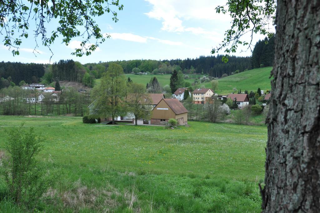 Ferienwohnungen Zur Muehle Mossautal エクステリア 写真