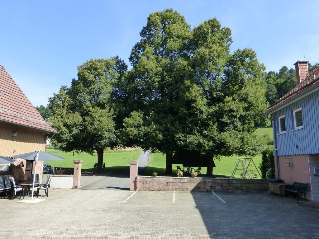 Ferienwohnungen Zur Muehle Mossautal エクステリア 写真